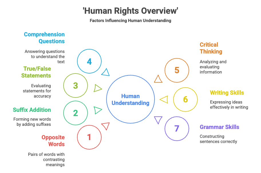 class 12 human right exercise, human rights class 12 exercise,